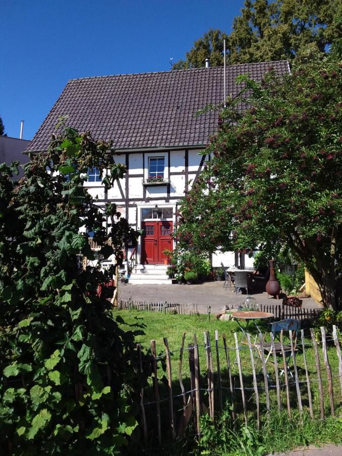 Appartement An Der Bicke Dehringhausen エクステリア 写真