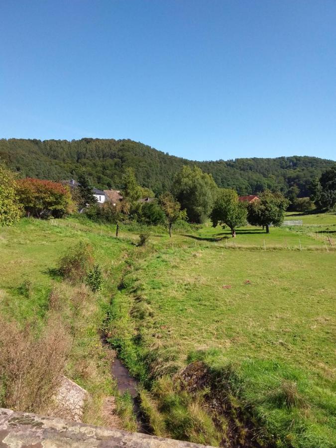 Appartement An Der Bicke Dehringhausen エクステリア 写真