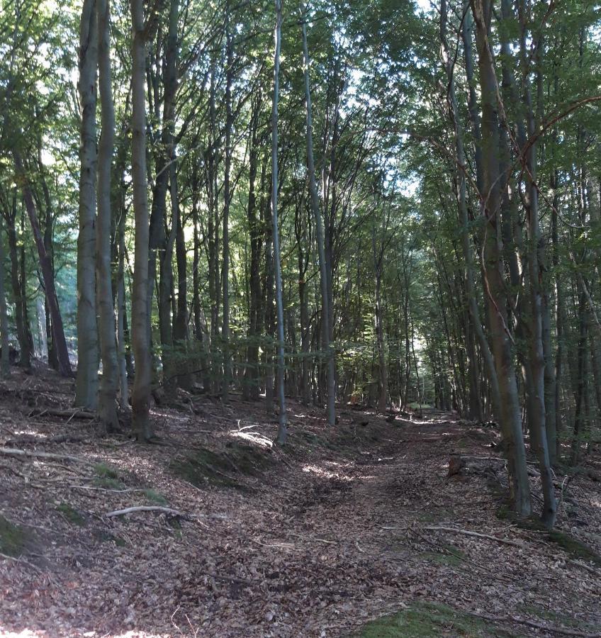 Appartement An Der Bicke Dehringhausen エクステリア 写真